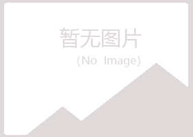 兰山区海云保险有限公司